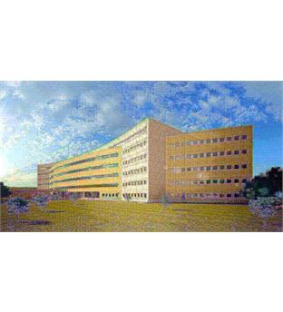 ستاد مرکزی دانشگاه علوم پزشکی سیستان و بلوچستان - زاهدان